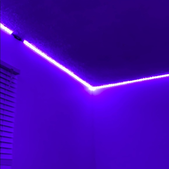 Meet your Posher, Ryleigh - Picture 1 of 1